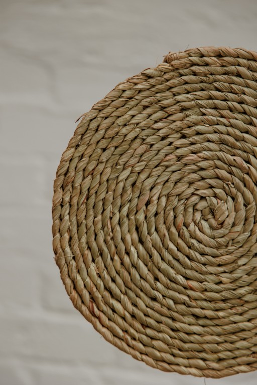 Banana Palm Placemat