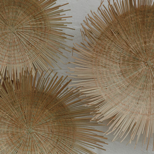 Ilala Content Session Sun Wall Plates