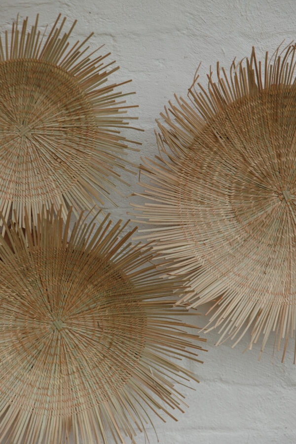 Sun Wall Plates